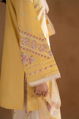 Benish Embroidered 3pcs